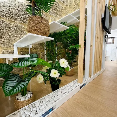 Unetti Oasis Dream House Apartment *
